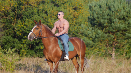Obraz premium Brutal strong young man rides a horse on the field in the summer