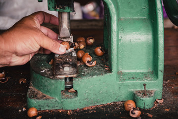 Shell cracker for cracking macadamia, open macadamia nut.