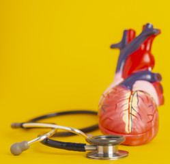 Isolated model of a human heart and a stethoscope on yellow background.