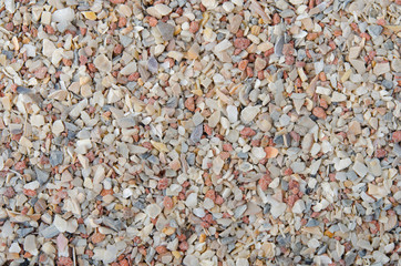 Muschelschalen Granulat Hintergrund