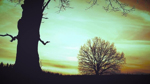 At sunset, death with a scythe runs fast