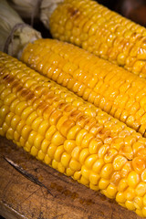 Grilled corn cobs on old wooden background.