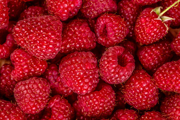 Fresh and sweet raspberries background