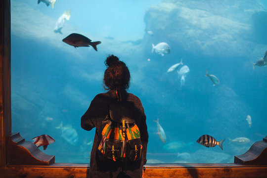 Young Woman With Backpack Watches Fish In A Tank At An Oceanarium