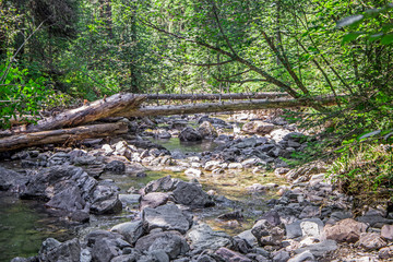 mountain river. water motion near the stones