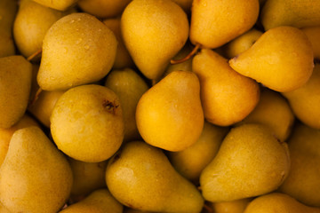 Background of yellow pears