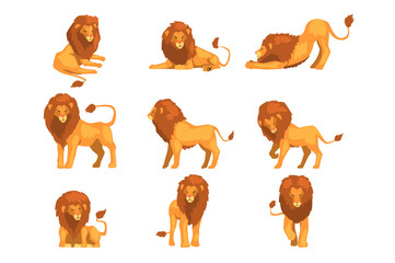 Proud powerful lion character in different actions set of cartoon vector Illustrations on a white background - obrazy, fototapety, plakaty