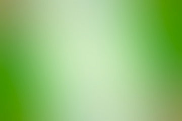 green gradient background / abstract blurry fresh green background