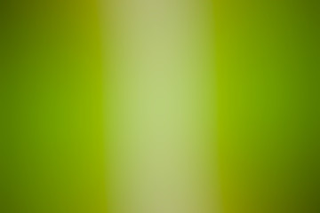 green gradient background / abstract blurry fresh green background