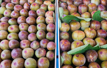 New harvest fig fruits sold at  local city market