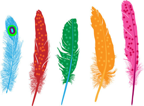 five color feathers in spots isolated on white