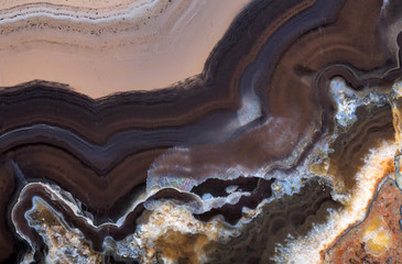 texture with golden and dark brown agate structure