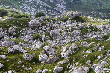 A lot of big stones on a mountain slope, natural texture photo