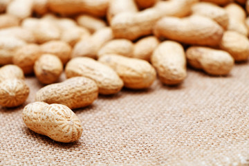 Peanuts on the background of sack cloth.