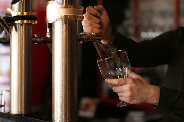 Bartender pouring beer into glass in bar