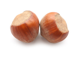 Fototapeta premium Tasty hazelnuts on white background