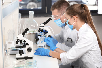 Naklejka na ściany i meble Female and male scientists working in laboratory