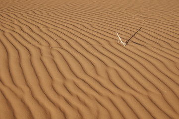 sand, desert, texture, beach, nature, dune, pattern, abstract, wind, dry, ripple, sandy, wave, summer, dunes, natural, brown, waves, yellow, lines, ripples, landscape, hot, coast, sand dune