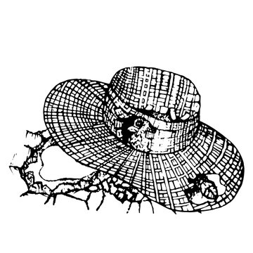 The bird hid in a straw hat  hand drawn in vintage style vector