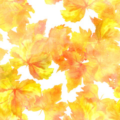 Naklejka na ściany i meble A seamless pattern of watercolour autumn grapevine leaves, golden toned, on a white background