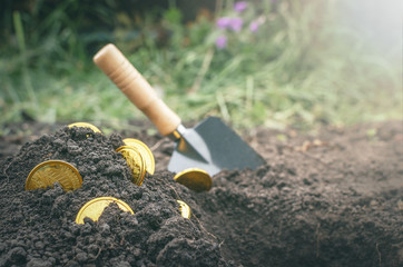 Coins searching. Treasure hunting concept. In search of a lost treasure.