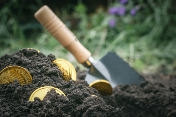 Coins searching. Treasure hunting concept. In search of a lost treasure.