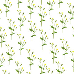 Fototapeta na wymiar Summer yellow floral seamless pattern on white background. Hand drawn watercolor illustration. 