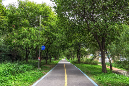 Han River bike lane
