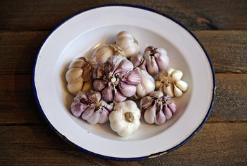 Garlic in the kitchen on wood