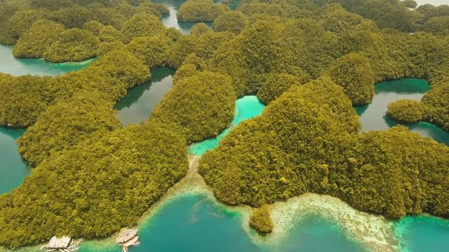 aerial footage islands covered with green tropical forest surrounded by beautiful bays and lagoons Bucas Grande. lot islands in lagoon with turquoise water island Sohoton Cove. tropical seascape blue