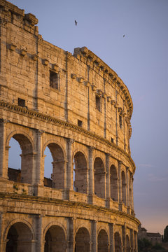 The Great Colosseum (Coliseum, Colosseo) at sunset. Rome, Italy.