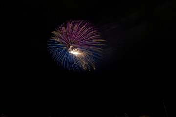Fototapeta premium 打ち上げ花火