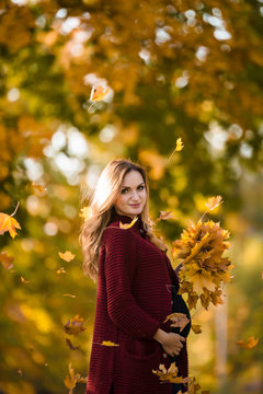 Young happy pregnant woman in cardigan plays with yellow maple leaves