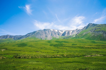 Giant mountains with snow above green valley with meadow and forest in sunny day. Rich vegetation of highlands in sunlight. Amazing mountain landscape of majestic nature.