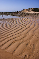 PLAYA DUNAS EN LA ARENA