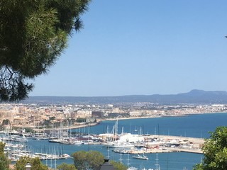 Naklejka premium view of the city of Palma de Mallorca