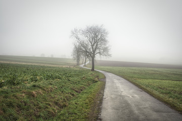 Fototapeta na wymiar Herbstlandschaft Straße im Nebel