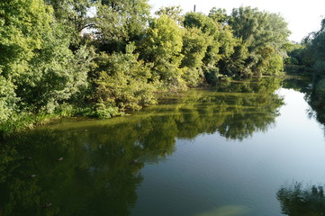 Fototapeta na wymiar River at summer