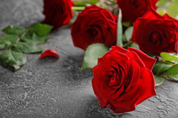 Beautiful red roses on grey background