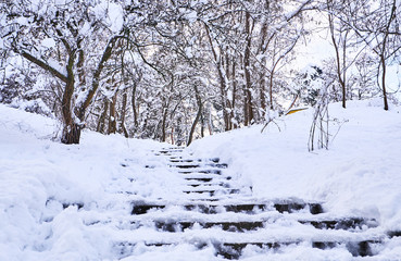 Stairs in winter park covered with snow.