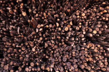 Background of twigs cut and stucked as firewood.