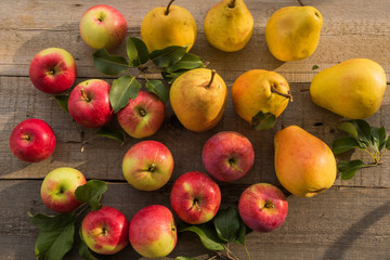 Fruit background with apples  and pears on old wooden table.