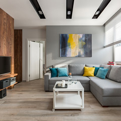 Living room with corner sofa