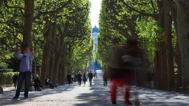 Beautiful full HD timelapse of a lane in park Jardin des Plantes in spring in Paris, France