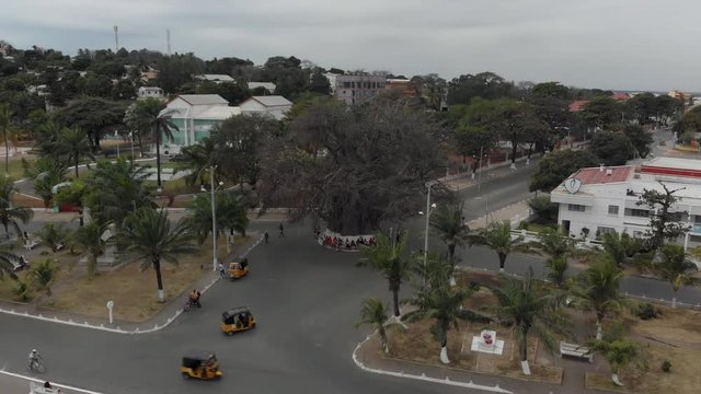 Slow Rising Reveal of the Famous and Mythical Landmark Baobob Tree in Mahajanga, Madagascar