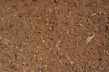 Traces of wheeled vehicles used in agriculture on a dirt road