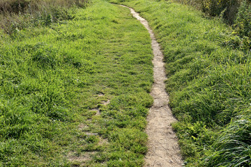 A path among the green grass