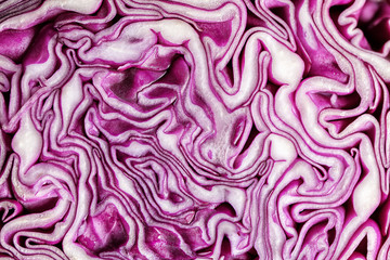 Texture of cut red cabbage, closeup