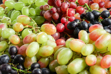 Variety of fresh sweet grapes