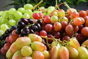 Naklejka na ściany i meble Variety of fresh sweet grapes